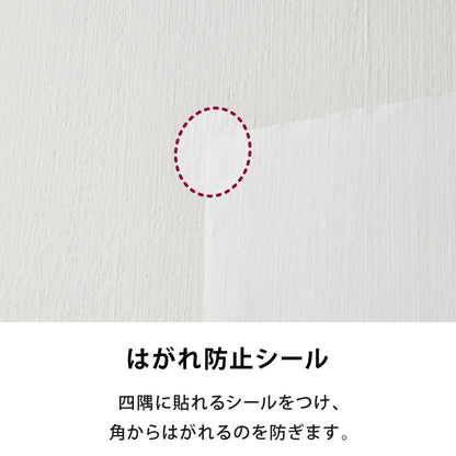 壁保護 シート 0.6×10m 貼って剥がせる 爪とぎ防止 はっ水 透明 クリア フリーカット 貼り直し可能 賃貸OK 目立たない 貼り付け簡単 汚れ防止 マーキング対策 60cm 10m 猫 ウサギ うさぎ ねこ 犬【送料無料】