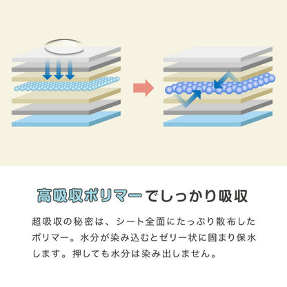 ペットシーツ 厚型 レギュラー 400枚 ワイド 200枚 スーパーワイド 100枚 ウルトラワイド 50枚 ホワイト 白 大容量 超吸収 抗菌 消臭 トイレシート トイレシーツ ペットシート 愛玩動物介護士監修 犬