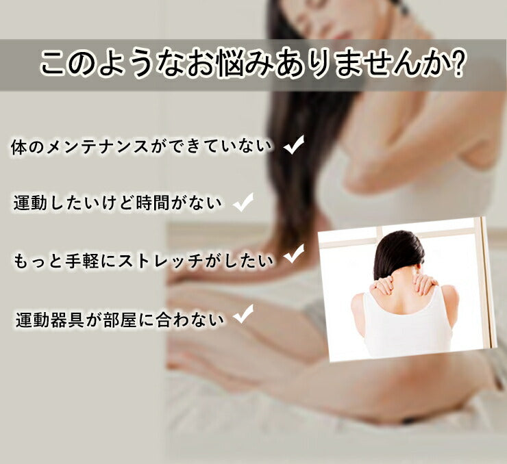 バランスボール バランスチェア 椅子 65cm カバー付 空気入れ付 おしゃれ かわいい シェニール ヨガ バランススツール ボール オットマン ラウンジチェア 体幹 トレーニング 筋トレ エクササイズ