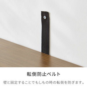 キューブボックス A4 2個セット 木目 鍵付き 扉付き 幅35cm レイアウト自由自在 ダイヤル ダイヤル錠付きボックス 収納 収納ボックス A4サイズ 本棚 ラック 収納ラック 鍵付きラック レイアウト自由