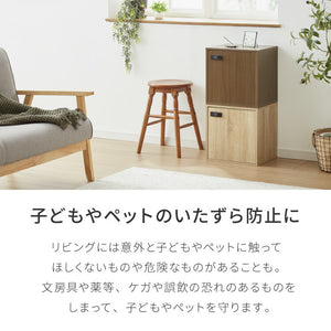 キューブボックス A4 2個セット 木目 鍵付き 扉付き 幅35cm レイアウト自由自在 ダイヤル ダイヤル錠付きボックス 収納 収納ボックス A4サイズ 本棚 ラック 収納ラック 鍵付きラック レイアウト自由