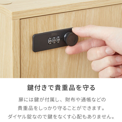 カラーボックス 2段 A4 2個セット 木目 鍵付き 扉付き 幅35cm レイアウト自由自在 ダイヤル 収納 収納ボックス 整理整頓 カラーボックス2段 A4サイズ 本棚 ラック 収納ラック 鍵付きラック