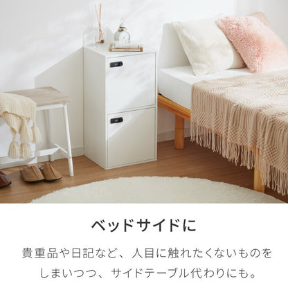 カラーボックス 2段 A4 2個セット 木目 鍵付き 扉付き 幅35cm レイアウト自由自在 ダイヤル 収納 収納ボックス 整理整頓 カラーボックス2段 A4サイズ 本棚 ラック 収納ラック 鍵付きラック