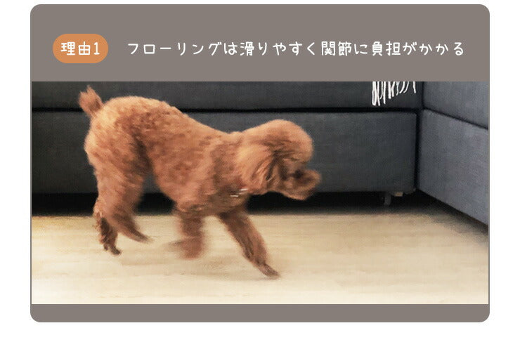 ドッグステップ4段 幅31cm ノンスリップ生地 カバー洗濯可能 軽量 コンパクト 組立簡単 ヘルニア 脱臼 予防 負担軽減 室内犬 小型犬 高齢犬 シニア犬