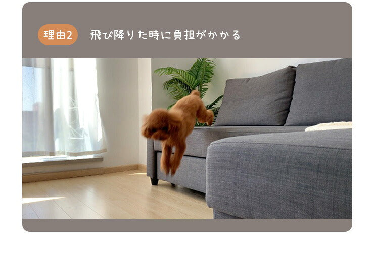 ドッグステップ4段 幅31cm ノンスリップ生地 カバー洗濯可能 軽量 コンパクト 組立簡単 ヘルニア 脱臼 予防 負担軽減 室内犬 小型犬 高齢犬 シニア犬