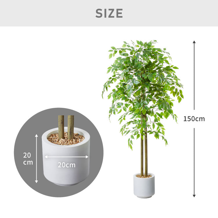 フェイクグリーン おしゃれ ベンジャミン 天然木 大型 中型 フィカスベンジャミン 据え置き 床置き 150cm ナチュラル シンプル 北欧 観葉植物 人工観葉植物 インテリアグリーン アートグリーン 玄関 鉢付き 風水 贈り物 目隠し 室内 大きい