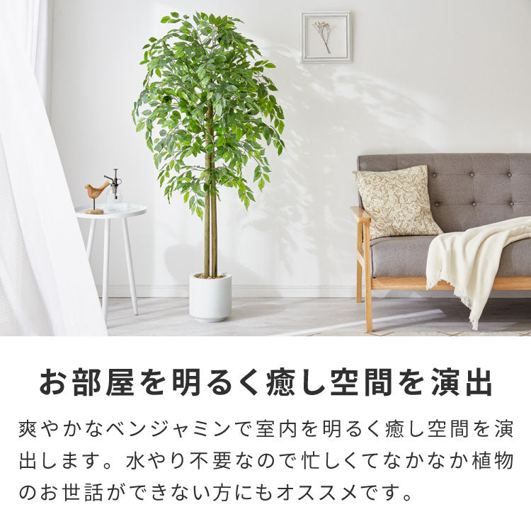 フェイクグリーン おしゃれ ベンジャミン 天然木 大型 中型 フィカスベンジャミン 据え置き 床置き 150cm ナチュラル シンプル 北欧 観葉植物 人工観葉植物 インテリアグリーン アートグリーン 玄関 鉢付き 風水 贈り物 目隠し 室内 大きい