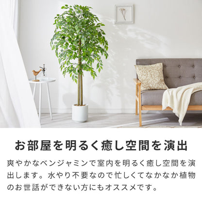 フェイクグリーン おしゃれ ベンジャミン 天然木 大型 中型 フィカスベンジャミン 据え置き 床置き 150cm ナチュラル シンプル 北欧 観葉植物 人工観葉植物 インテリアグリーン アートグリーン 玄関 鉢付き 風水 贈り物 目隠し 室内 大きい