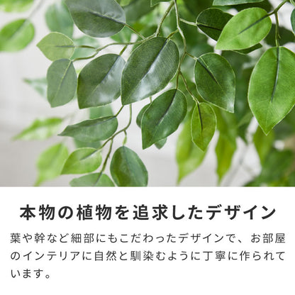 フェイクグリーン おしゃれ ベンジャミン 天然木 大型 中型 フィカスベンジャミン 据え置き 床置き 150cm ナチュラル シンプル 北欧 観葉植物 人工観葉植物 インテリアグリーン アートグリーン 玄関 鉢付き 風水 贈り物 目隠し 室内 大きい