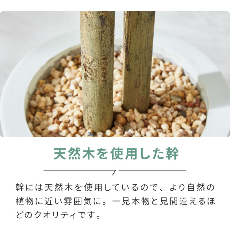 フェイクグリーン おしゃれ ベンジャミン 天然木 大型 中型 フィカスベンジャミン 据え置き 床置き 150cm ナチュラル シンプル 北欧 観葉植物 人工観葉植物 インテリアグリーン アートグリーン 玄関 鉢付き 風水 贈り物 目隠し 室内 大きい