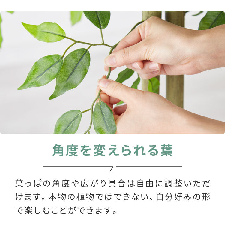 フェイクグリーン おしゃれ ベンジャミン 天然木 大型 中型 フィカスベンジャミン 据え置き 床置き 150cm ナチュラル シンプル 北欧 観葉植物 人工観葉植物 インテリアグリーン アートグリーン 玄関 鉢付き 風水 贈り物 目隠し 室内 大きい