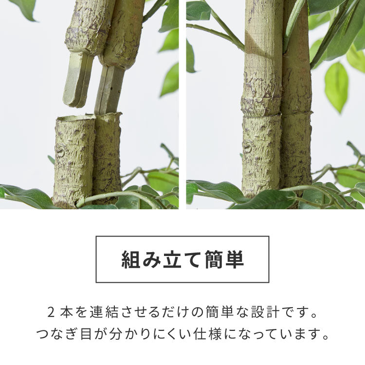 フェイクグリーン おしゃれ ベンジャミン 天然木 大型 中型 フィカスベンジャミン 据え置き 床置き 150cm ナチュラル シンプル 北欧 観葉植物 人工観葉植物 インテリアグリーン アートグリーン 玄関 鉢付き 風水 贈り物 目隠し 室内 大きい