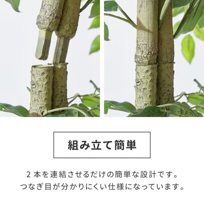 フェイクグリーン おしゃれ ベンジャミン 天然木 大型 中型 フィカスベンジャミン 据え置き 床置き 150cm ナチュラル シンプル 北欧 観葉植物 人工観葉植物 インテリアグリーン アートグリーン 玄関 鉢付き 風水 贈り物 目隠し 室内 大きい