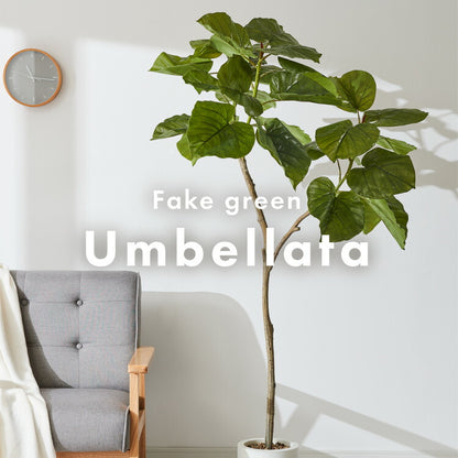 人工観葉植物 ウンベラータ フェイクグリーン 大型 155cm 160cm フィカス 植物 おしゃれ ナチュラル シンプル フェイク 造花 リアル 観葉植物 リビング インテリア 玄関 室内 ギフト お祝いプレゼント