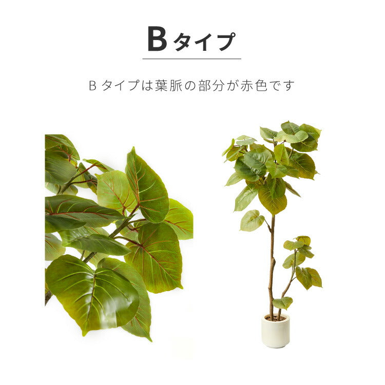 人工観葉植物 ウンベラータ フェイクグリーン 大型 155cm 160cm フィカス 植物 おしゃれ ナチュラル シンプル フェイク 造花 リアル 観葉植物 リビング インテリア 玄関 室内 ギフト お祝いプレゼント