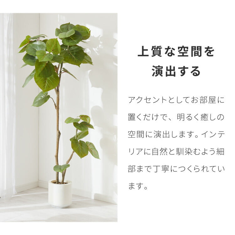 人工観葉植物 ウンベラータ 一本 フェイクグリーン 大型 ウンベラータ