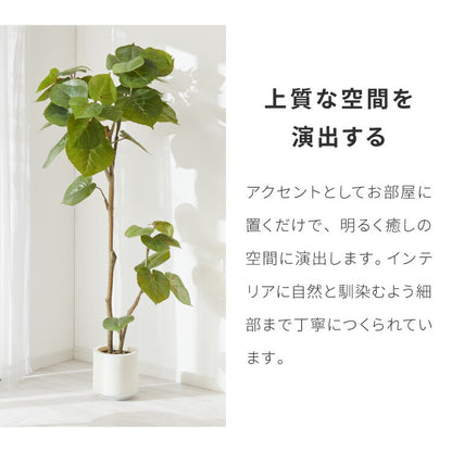 人工観葉植物 ウンベラータ フェイクグリーン 大型 155cm 160cm フィカス 植物 おしゃれ ナチュラル シンプル フェイク 造花 リアル 観葉植物 リビング インテリア 玄関 室内 ギフト お祝いプレゼント