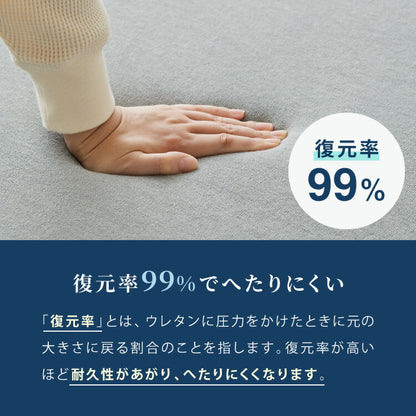 ごろ寝マット 折りたたみ 枕付き 両面タイプ タオル生地 メッシュ生地 消臭 抗菌 防臭 洗える カバー付き 60×180cm 持ち運び コンパクト 大人 ゴムバンド付き ごろ寝クッション 長座布団 マットレス