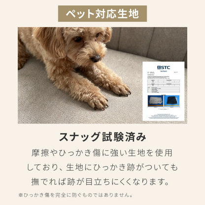 ダイニングソファ ソファ 3点セット レザー 2人掛け 1人掛け ペット対応 ペット ソファ ダイニング ソファーセット ポケット 1P 2Pコイル 天然木 リビングダイニング カウチソファ コーナー(代引不可)