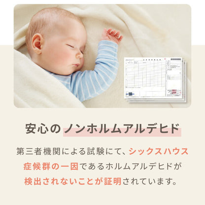 長座布団 洗える 幅65/60 長さ170 抗菌防臭 ふっくら ノンホルム シンプル 高級感 ソファーパッド ソファパッド クッション ロングクッション フロアクッション ごろ寝 マット 座布団 こたつ