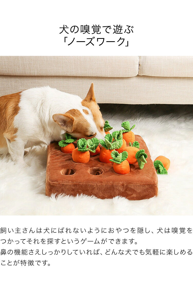 ペット おもちゃ ノーズワーク にんじん畑 嗅覚訓練 洗える 滑り止めつき 犬 猫 知育玩具 ペットグッズ ペット用品 いぬ ねこ 人参 ぬいぐるみ 犬用品