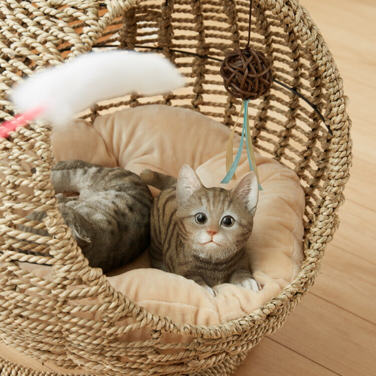 ペット用ハンギングチェア クッション付き シーグラス製 丸型 おしゃれ ナチュラル 北欧 かわいい ペットチェア 猫ベッド ペットベッド ペットハウス キャットチェア ペット用 猫用 ペット用家具 キャットハウス 吊り下げ式 ペット 室内