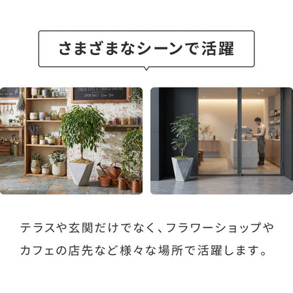 プランター 大型 26cm×26cm 三角形 シャープ コンクリート ファイバークレイ 軽量 おしゃれ モダン 打ちっぱなし テーパー型 ポリゴン ガーデニング 植木鉢 鉢植え 大型プランター