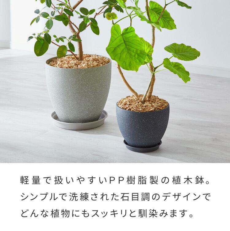 植木鉢 鉢 直径23cm 8号 おしゃれ モダン ガーデニング 植木鉢 鉢カバー プランターカバー PP樹脂 観葉植物 屋外 室内 軽い インテリア 鉢皿 ソーサー付き グレー