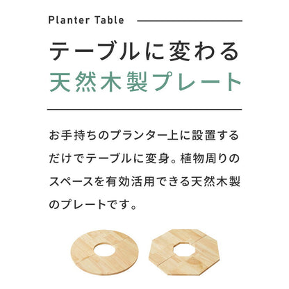 天然木 プランターテーブル 幅50cm 円形 八角形 ラバーウッド 木製 天板 プレート ナチュラル 北欧 サイドテーブル 小物置き 目隠し 鉢土隠し 鉢カバー サークル オクタゴン 観葉植物 植木鉢 鉢植え