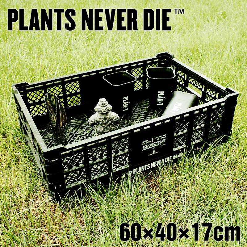 【plants never die】【正規販売店】 コンテナ W60cm×40cm×H17cm 折りたたみ ワンタッチ コンパクト 通気性 持ち手 積み重ね 植物柄 黒 ガーデニング 園芸 アウトドア おしゃれボックス かご