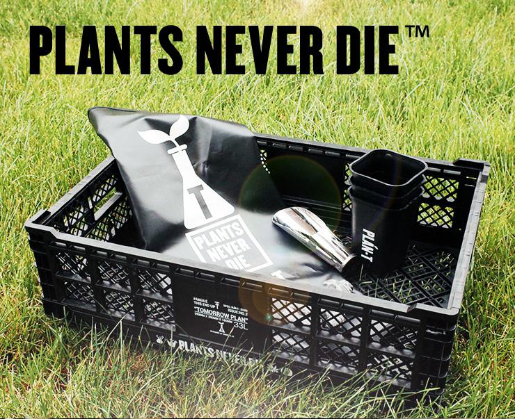 【plants never die】【正規販売店】 コンテナ W60cm×40cm×H17cm 折りたたみ ワンタッチ コンパクト 通気性 持ち手 積み重ね 植物柄 黒 ガーデニング 園芸 アウトドア おしゃれボックス かご