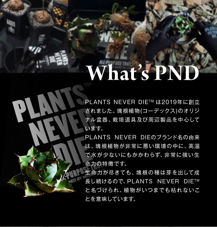 【plants never die】【正規販売店】 コンテナ W60cm×40cm×H17cm 折りたたみ ワンタッチ コンパクト 通気性 持ち手 積み重ね 植物柄 黒 ガーデニング 園芸 アウトドア おしゃれボックス かご
