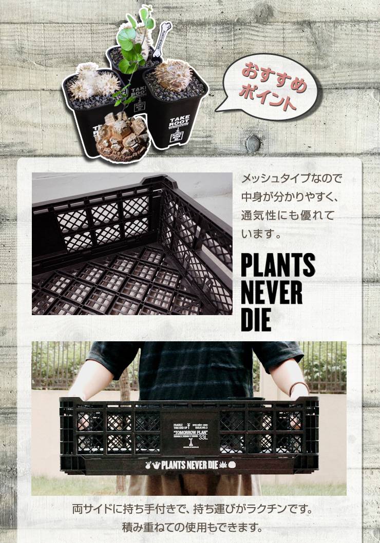 【plants never die】【正規販売店】 コンテナ W60cm×40cm×H17cm 折りたたみ ワンタッチ コンパクト 通気性 持ち手 積み重ね 植物柄 黒 ガーデニング 園芸 アウトドア おしゃれボックス かご