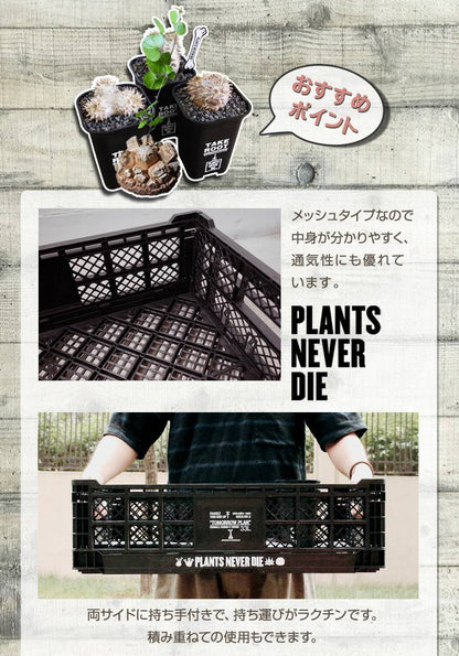 【plants never die】【正規販売店】 コンテナ W60cm×40cm×H17cm 折りたたみ ワンタッチ コンパクト 通気性 持ち手 積み重ね 植物柄 黒 ガーデニング 園芸 アウトドア おしゃれボックス かご