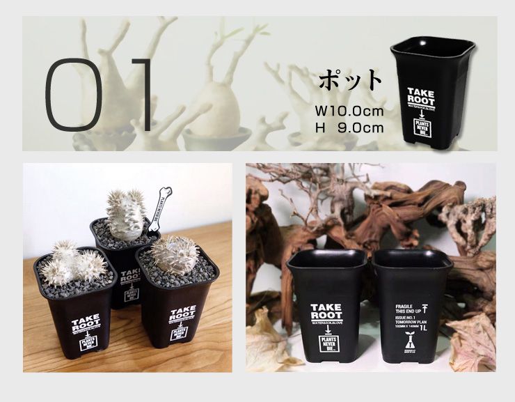 【plants never die】【正規販売店】 園芸7点セット ガーデニング ツール セット 7点 ポット じょうろ トレー ネームタグ 土入れ スケール ピン 園芸用品 おしゃれ 道具 園芸作業ツール セット