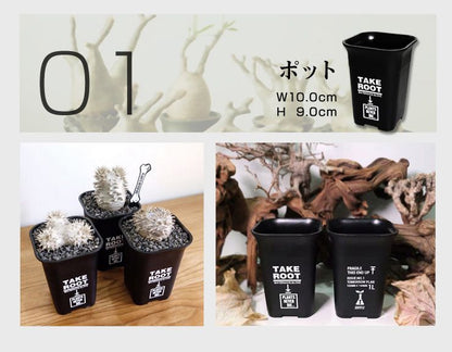 【plants never die】【正規販売店】 園芸7点セット ガーデニング ツール セット 7点 ポット じょうろ トレー ネームタグ 土入れ スケール ピン 園芸用品 おしゃれ 道具 園芸作業ツール セット