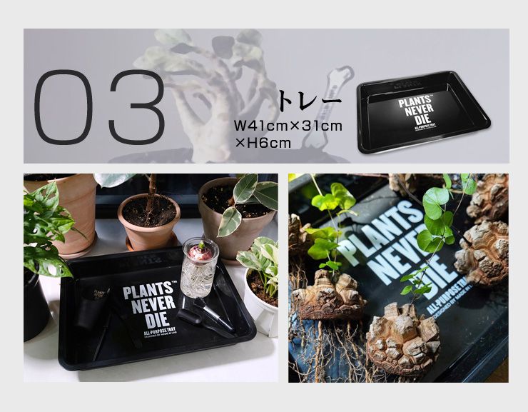 【plants never die】【正規販売店】 園芸7点セット ガーデニング ツール セット 7点 ポット じょうろ トレー ネームタグ 土入れ スケール ピン 園芸用品 おしゃれ 道具 園芸作業ツール セット