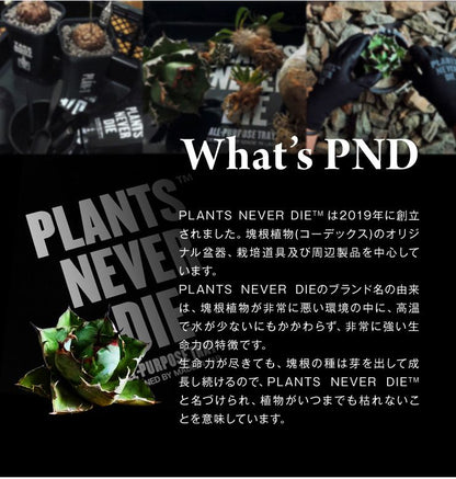 【plants never die】【正規販売店】 園芸7点セット ガーデニング ツール セット 7点 ポット じょうろ トレー ネームタグ 土入れ スケール ピン 園芸用品 おしゃれ 道具 園芸作業ツール セット