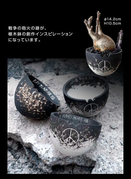 【plants never die】【正規販売店】 反戦鉢 W14.2cm×H10.5cm 鉢植え おしゃれ 骨 イラスト ブラック 径14.2 高さ10.5 陶器 ガーデニング 屋外 屋内 プランター 植木鉢 観葉植物 インテリア 雑貨 鉢