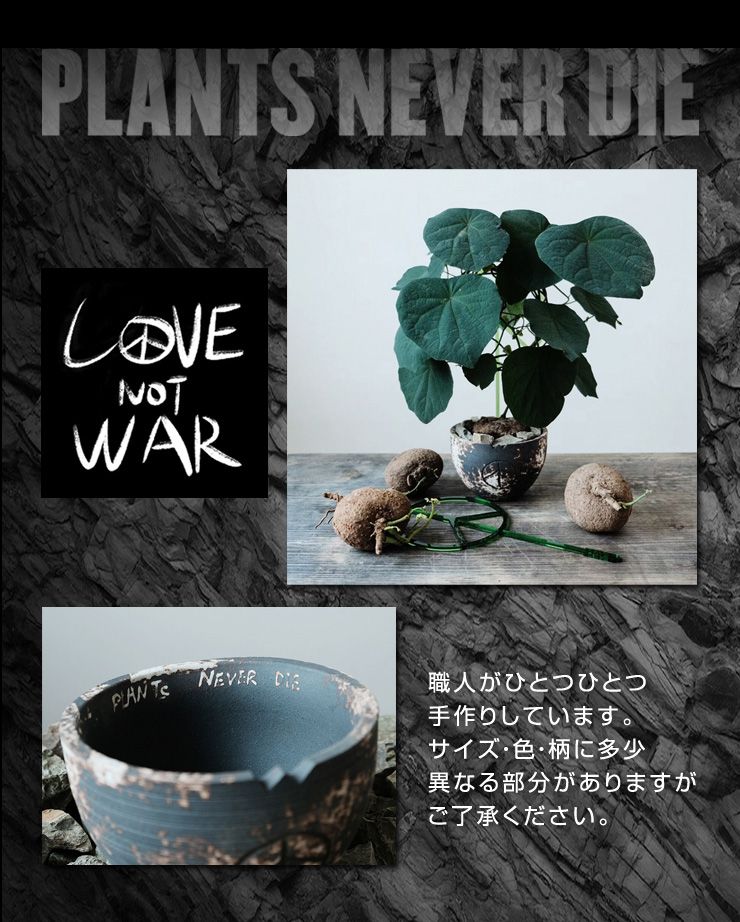 【plants never die】【正規販売店】 反戦鉢 W14.2cm×H10.5cm 鉢植え おしゃれ 骨 イラスト ブラック 径14.2 高さ10.5 陶器 ガーデニング 屋外 屋内 プランター 植木鉢 観葉植物 インテリア 雑貨 鉢