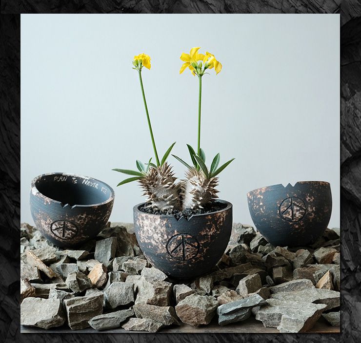 【plants never die】【正規販売店】 反戦鉢 W14.2cm×H10.5cm 鉢植え おしゃれ 骨 イラスト ブラック 径14.2 高さ10.5 陶器 ガーデニング 屋外 屋内 プランター 植木鉢 観葉植物 インテリア 雑貨 鉢