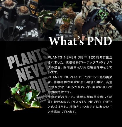 【plants never die】【正規販売店】 グッズ3点セット ガーデニング セット 3点 ポケットつき エプロン 折りたたみ ステンレス スコップ袋つき グローブ おしゃれ ガーデニング 園芸グッズ 手入れ