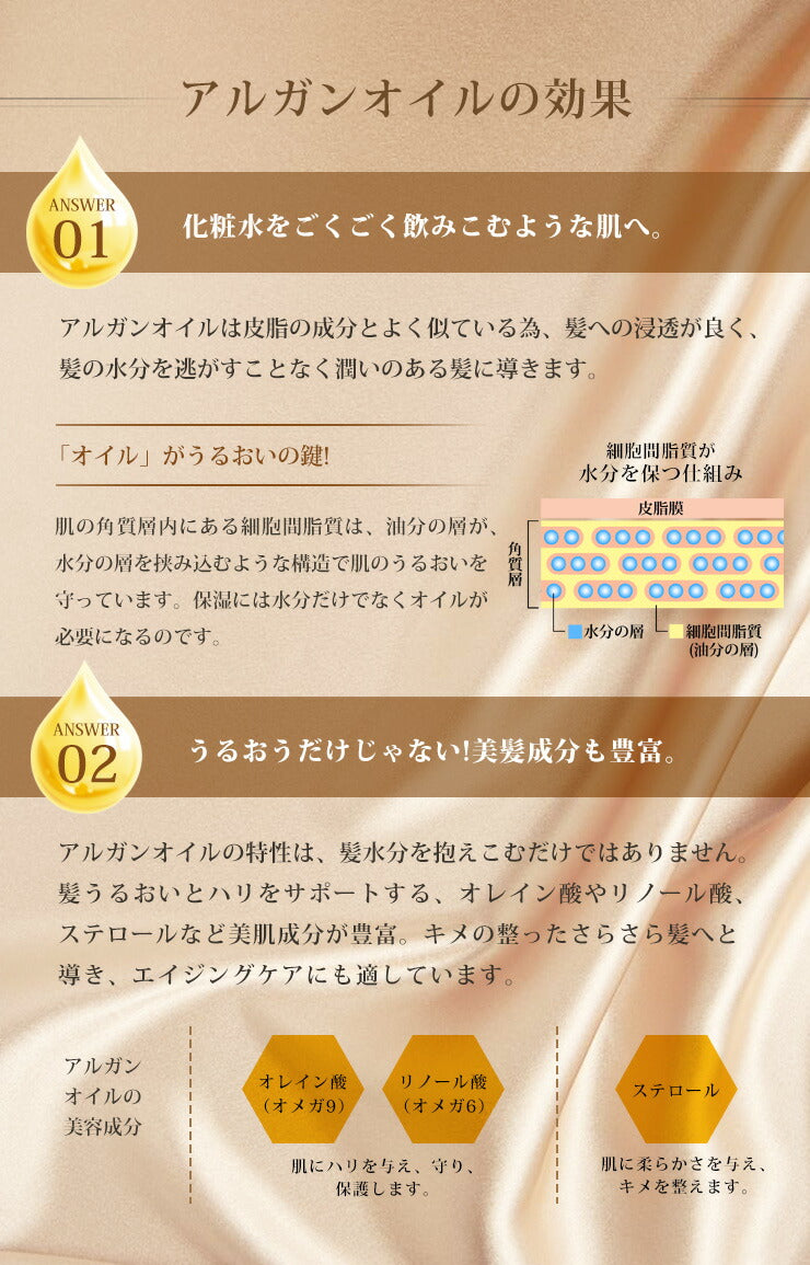 シルク 枕カバー 2枚組 19匁 両面 ヒアルロン酸入り シルク100％ シルク枕カバー ファスナー付き 43×63cm 絹 絹100％ 両面シルク ピローケース 天然シルク セット 安眠 保湿 美容 リバーシブル (代引不可)【メール便配送】