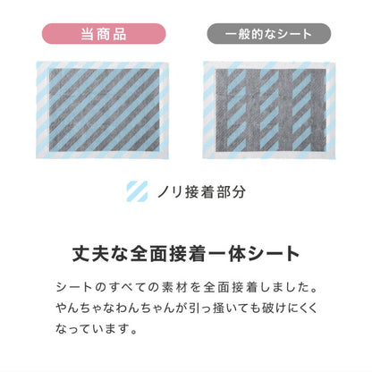 ペットシーツ レギュラー 200枚 ワイド 100枚 スーパーワイド 50枚 超厚型 炭入り 大容量 超吸収 消臭 脱臭 抗菌 使い捨て まとめ買い 高吸収ポリマー すべり止め 業務用 犬 猫 犬用 猫用 速乾 自然由来 清潔 3サイズ