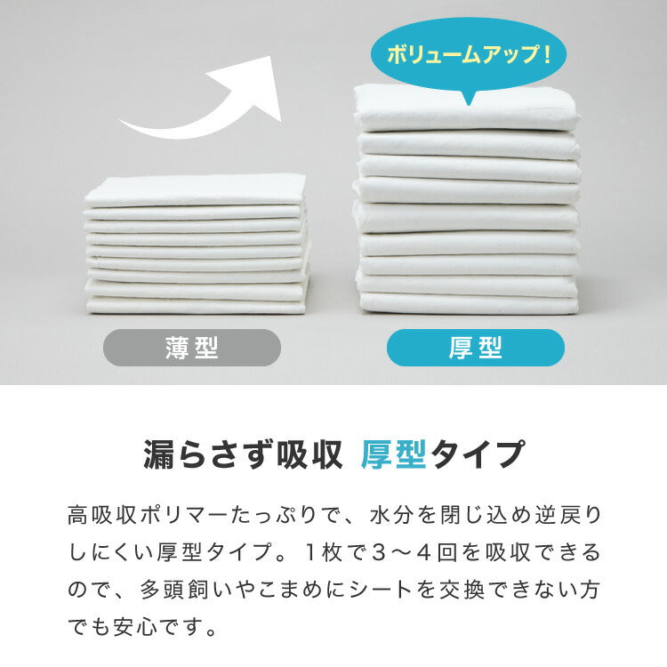 ペットシーツ レギュラー 400枚 ワイド 200枚 スーパーワイド 100枚 超厚型 炭入り 大容量 超吸収 消臭 脱臭 抗菌 使い捨て まとめ買い 高吸収ポリマー すべり止め 業務用 犬 猫 犬用 猫用 速乾 自然由来 清潔 3サイズ