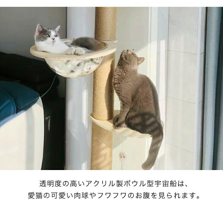 クリアボウル キャットタワー用 追加パーツ キャットツリー用 単品 40cm クリア スケルトン 透明 北欧 ラウンドベッド ベッド クリアボウルベッド スケルトンラウンドベッド 宇宙船 ハンモック