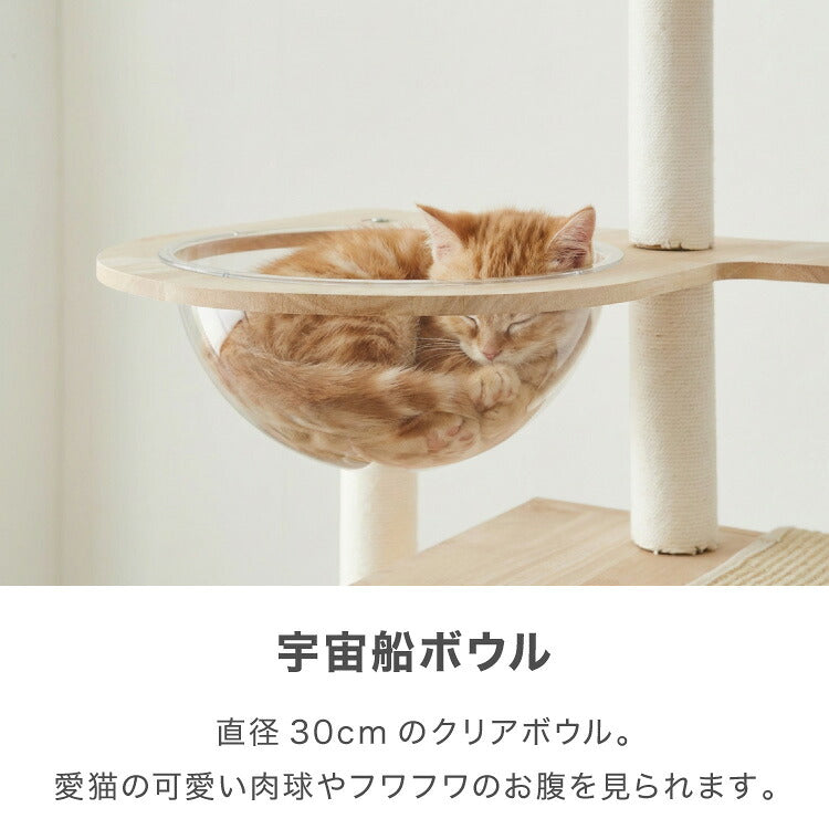 キャットタワー 木製 据え置き スリム 高さ132cm 省スペース 宇宙船 クリアボウル 爪とぎポール コットン紐 綿紐 おしゃれ 猫タワー キャットハウス 猫ハウス 運動不足解消 猫 ねこ 子猫 シニア猫