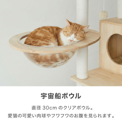 【5%OFF】キャットタワー 木製 据え置き 高さ146cm スリム 省スペース 宇宙船 クリアボウル 爪とぎポール ハンモック おもちゃ 綿紐 おしゃれ 猫タワー キャットハウス 運動不足解消 猫 ねこ 子猫 シニア猫