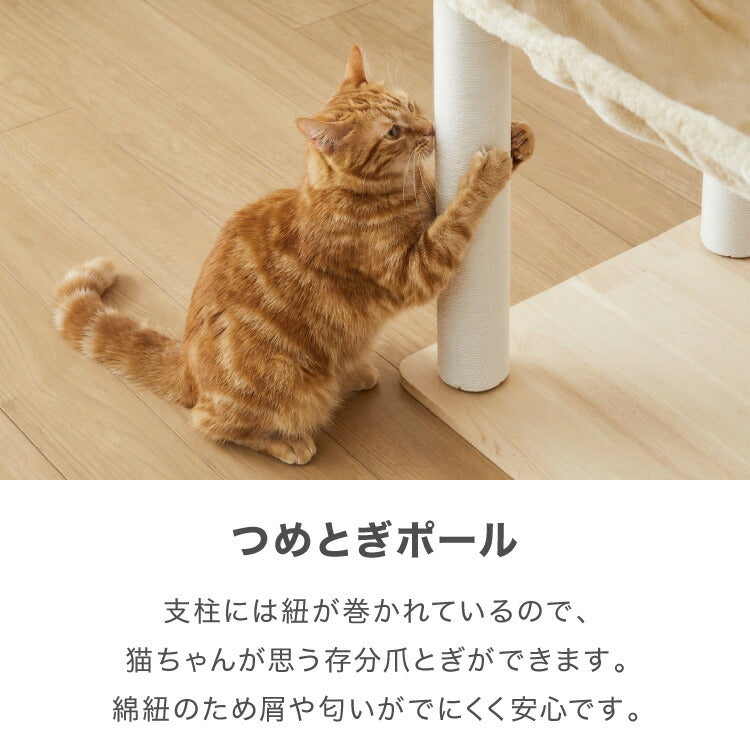 【5%OFF】キャットタワー 木製 据え置き 高さ146cm スリム 省スペース 宇宙船 クリアボウル 爪とぎポール ハンモック おもちゃ 綿紐 おしゃれ 猫タワー キャットハウス 運動不足解消 猫 ねこ 子猫 シニア猫