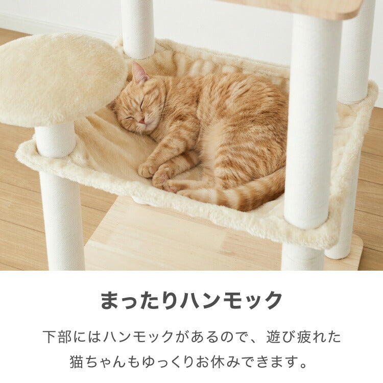 【5%OFF】キャットタワー 木製 据え置き 高さ146cm スリム 省スペース 宇宙船 クリアボウル 爪とぎポール ハンモック おもちゃ 綿紐 おしゃれ 猫タワー キャットハウス 運動不足解消 猫 ねこ 子猫 シニア猫